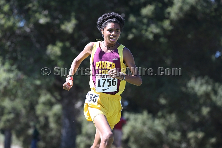 2015SIxcHSD3-066.JPG - 2015 Stanford Cross Country Invitational, September 26, Stanford Golf Course, Stanford, California.